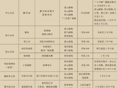 2025年北京市属公园元宵节活动汇总(时间+地点)