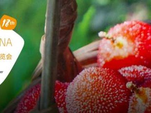 2025亚洲有机食品展会时间(举办时间+参观时间）