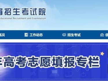 2026山东高考报名官网https://www.sdzk.cn/