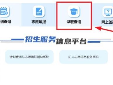 湖北高考志愿状态查询入口2025