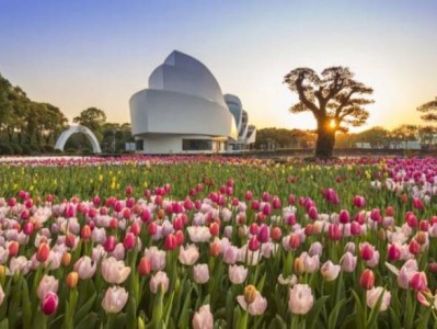 2025上海四季花港郁金香花展时间+地址+门票+交通