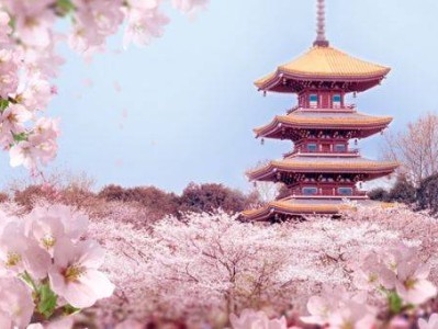 2025开封赏花路线(品种+时间+地点)