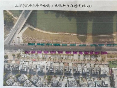 肇庆怀集2025年迎春花市、年货街时间+地点