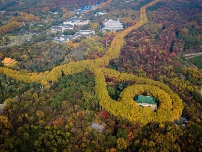 南京美龄宫游玩攻略（开放时间+地址+门票）