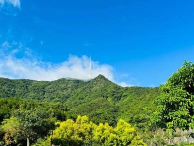 2025深圳梧桐山音乐会时间+地点+门票+交通