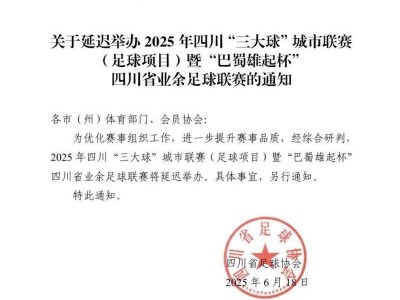 巴蜀雄起杯四川省业余足球联赛延迟举办通知