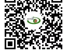 徐州观音机场巴士最新时刻表（2025年4月发布）