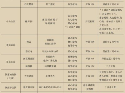 2025年北京市属公园元宵节活动有哪些(时间+参与形式)