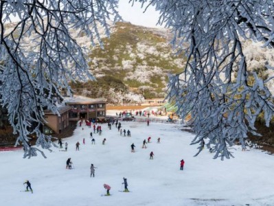 重庆金佛山一日游详细攻略（开放时间+门票+路线）