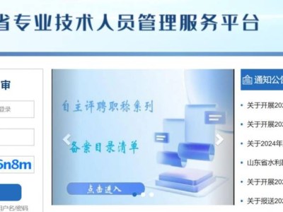 2025山东省专业技术人员管理服务平台官网