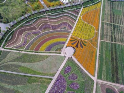 重庆铜梁奇彩梦园景点介绍（开放时间+门票+地址）