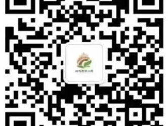 2025兰州市城关区鼓楼巷幼儿园秋季招生公告