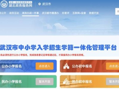 湖北政务服务网高效办成一件事专区武汉小学新生登记注册入口