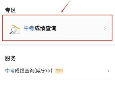 2025咸宁中考成绩手机上能查吗怎么查？