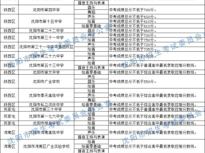 2025沈阳中考艺术特长生总成绩计算方法+分数线