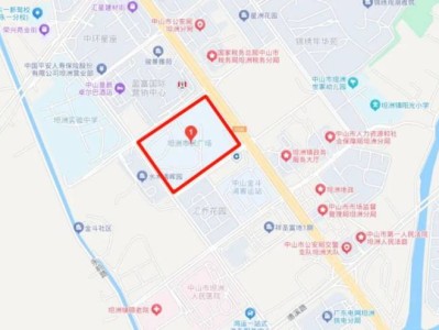 2025年中山市坦洲镇迎春花市(时间+地点)