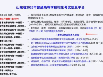 2025山东普通高等学校招生考试信息平台官方入口https://wsbm.sdzk.cn