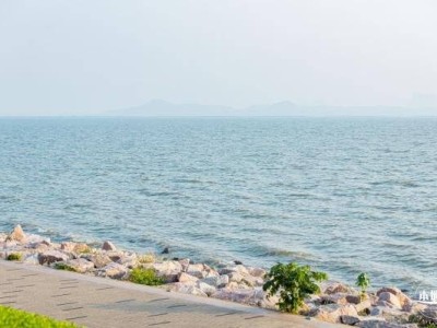 2025深圳湾公园开放时间