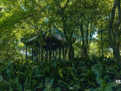 上海方塔园入园须知(开放时间+门票价格+交通)