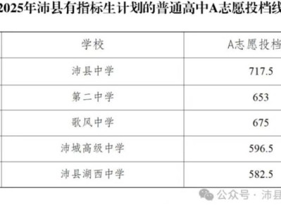 沛县中考录取分数线2025年