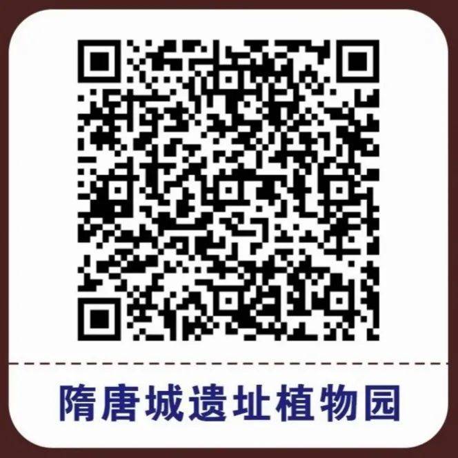 2025隋唐城遗址植物园庙会暨新春灯会(时间 购票入口 交通指南)