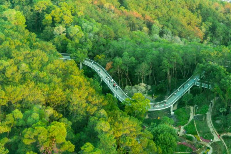 厦门空中健身步道路线图