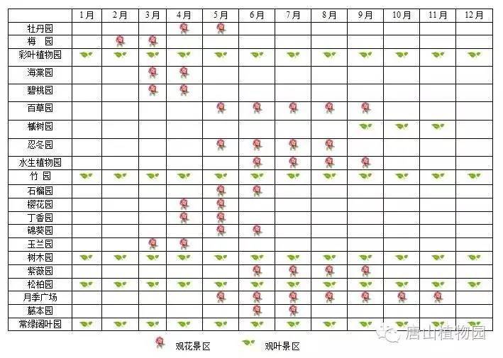 2024唐山玉兰花去哪赏？