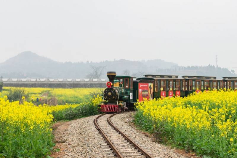 重庆潼南看油菜花2日游攻略（最佳时间 地点 路线）