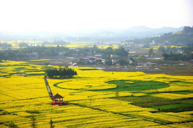 重庆潼南看油菜花2日游攻略(最佳时间 地点 路线)