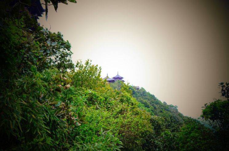 2020杭州野餐地推荐（交通 门票 开放时间）