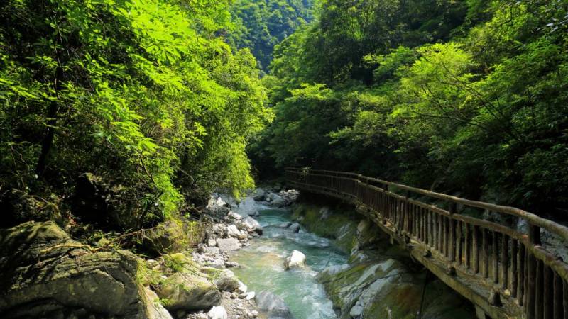 2024重庆三八妇女节门票免费活动汇总（时间 景点名单）