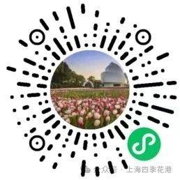 2025上海四季花港郁金香花展时间+地址+门票+交通