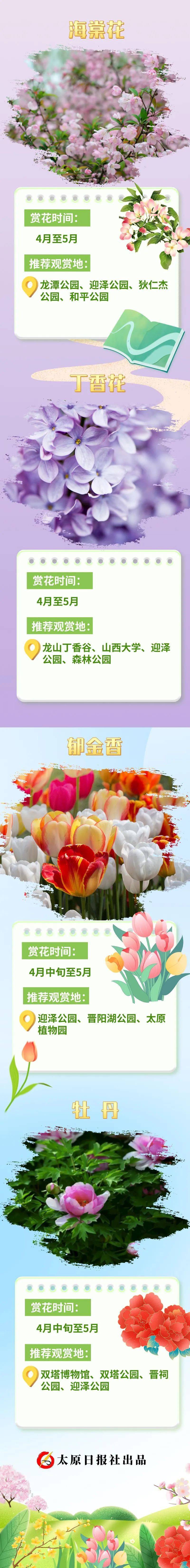太原春天赏花地图攻略