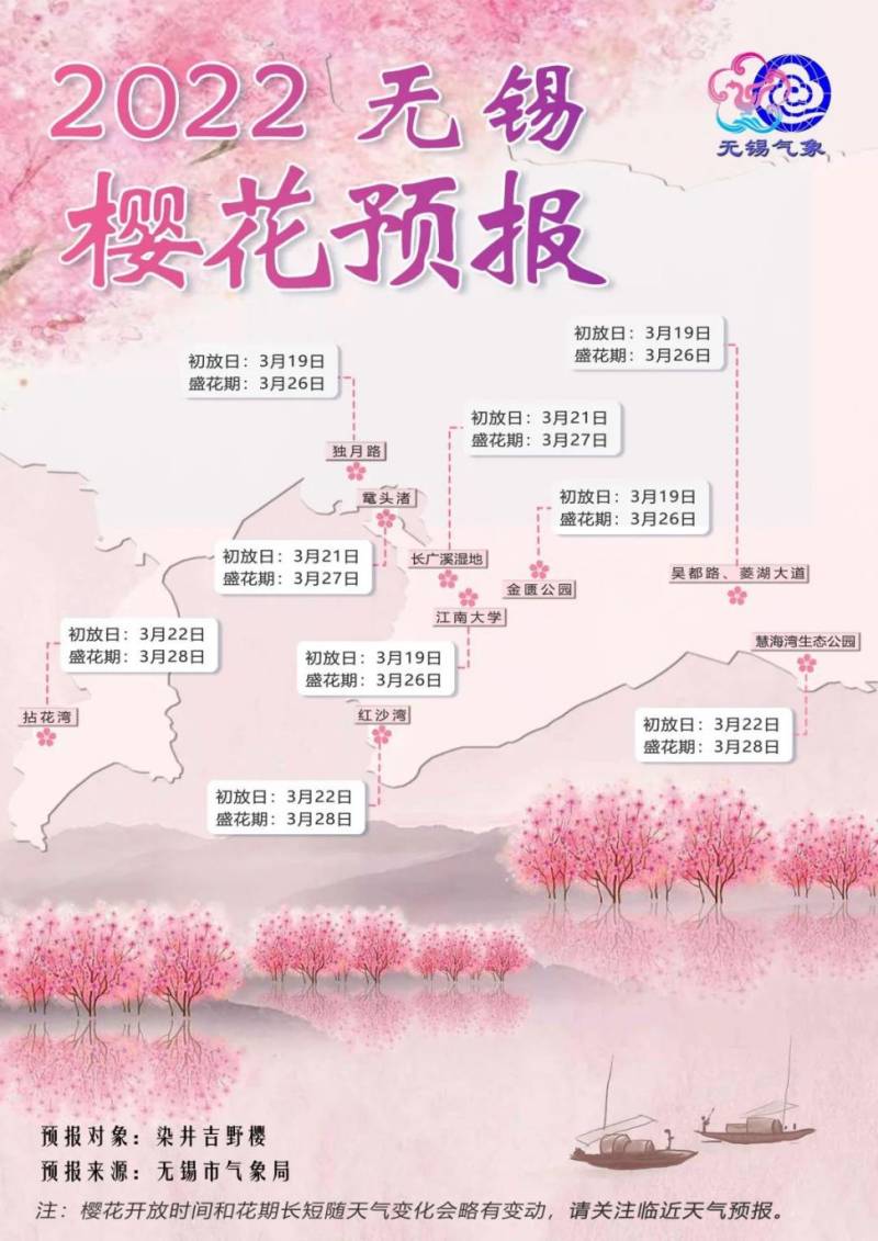 无锡历年樱花开放时间汇总