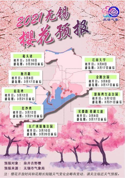 无锡历年樱花开放时间汇总