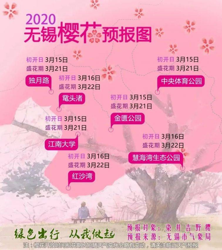 无锡历年樱花开放时间汇总