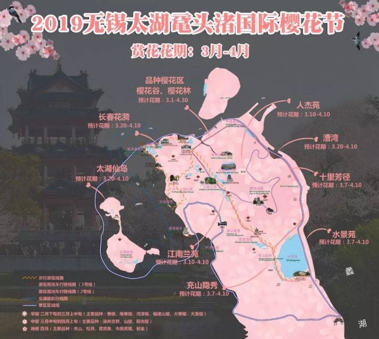 无锡历年樱花开放时间汇总