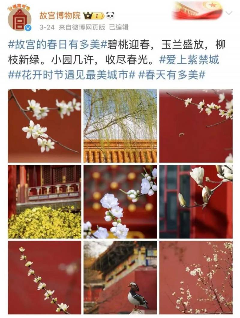 ca5306aee6bcc7ba51f08c262fdd838.jpg