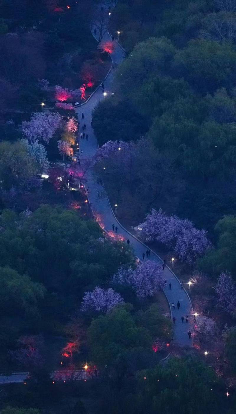 北京玉渊潭公园夜景多少钱门票?