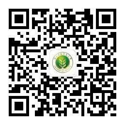 西北农林科技大学2025高考录取查询方法