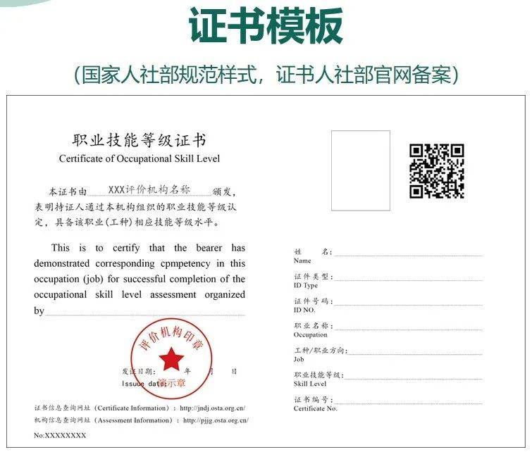 等级证模板